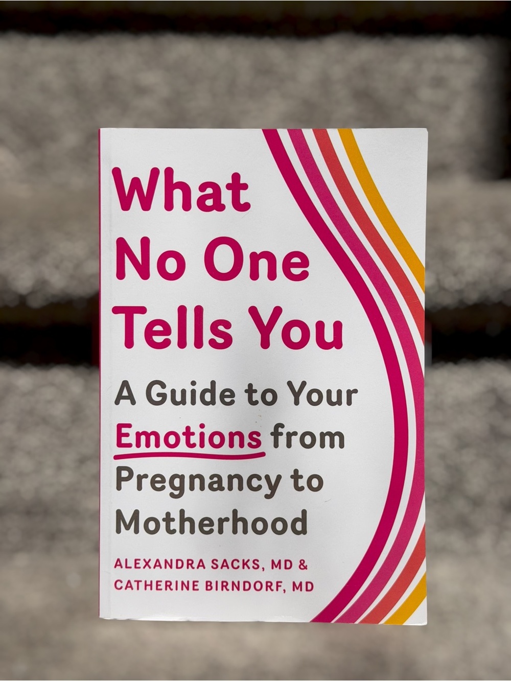 What No One Tells You Alexandra Sacks Catherine Birndorf Pregnancy Motherhood